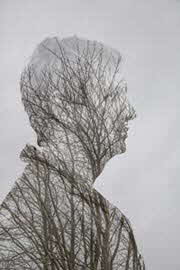 Portrait in a Treeby Tony McCann