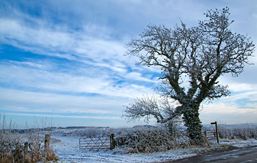 Please Close the Gateby Elspeth Gordon