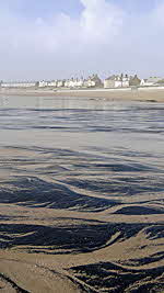 Morning, Newbiggin Beachby Helen Bradley