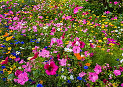 Wallington Garden Bouquetby Bill Norfolk