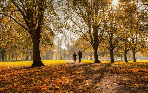 Kensington Gardensby Elspeth Peddie